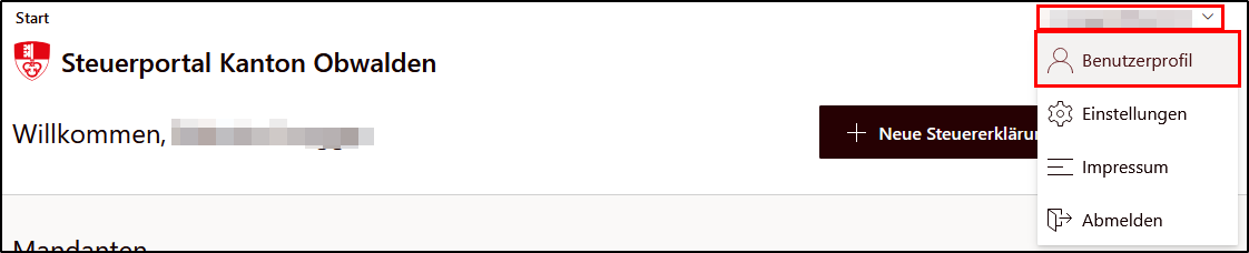 2025-01-24 11_50_35-Steuerportal – Mozilla Firefox.png